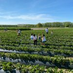Turno 1  - 01 de Junio - ÚLTIMAS 30 PLAZAS -