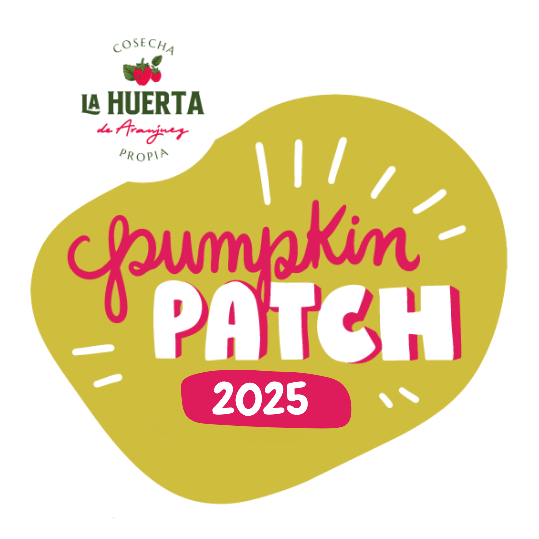 Pumpkin - Turno 1 - 18 Octubre