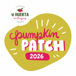 Pumpkin - Turno 1 - 3 Octubre
