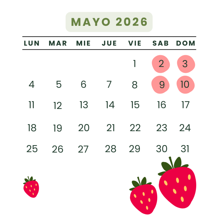 CALENDARIO MAYO 26